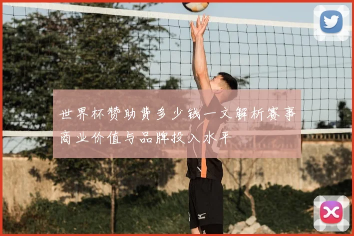 世界杯赞助费多少钱一文解析赛事商业价值与品牌投入水平
